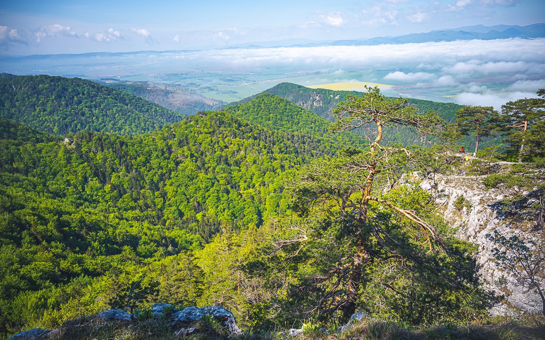 NP Veľká Fatra: Ružomberok v Apartmánovom dome Fatrapark s raňajkami, welcome drinkom a kávou + zľava na masáž<br/>Apartmánový dom Fatrapark, Hrabovská dolina 3280/18, Ružomberok 034 01, info@ApartmanyFatrapark.sk