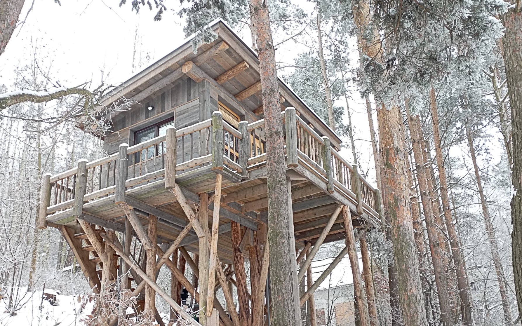Netradičný pobyt v prírode neďaleko Třebíča: Unikátny dom na strome Treehouse Sokolí + raňajkový balíček