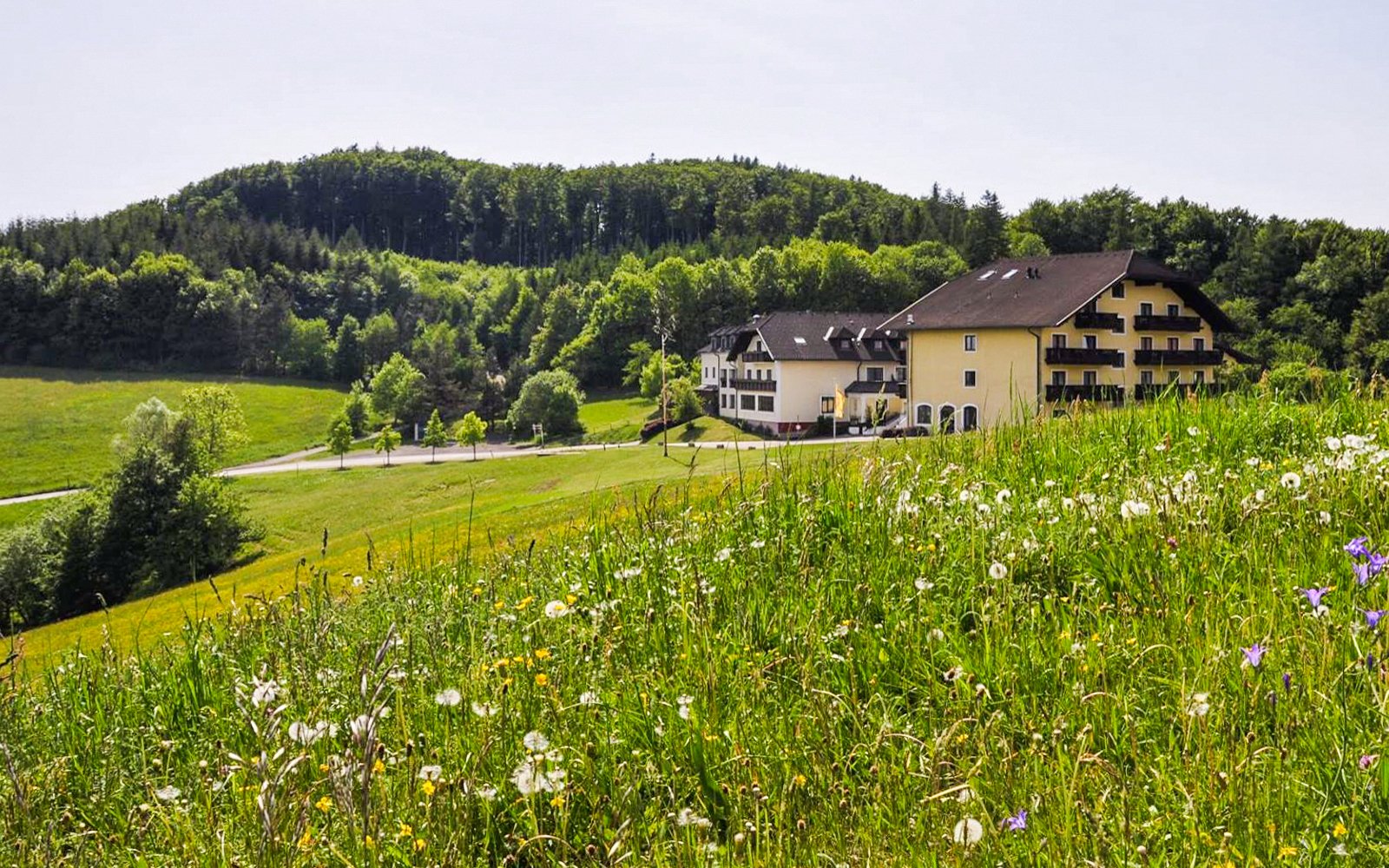 Rakúsko neďaleko Viedne v Hoteli Wienerwaldhof **** s polpenziou a wellness centrom (vnútorný bazén, 2 sauny)<br/>Hotel Wienerwaldhof ****, Strohzogl 67, Tullnerbach A-3011, info@wienerwaldhof.at