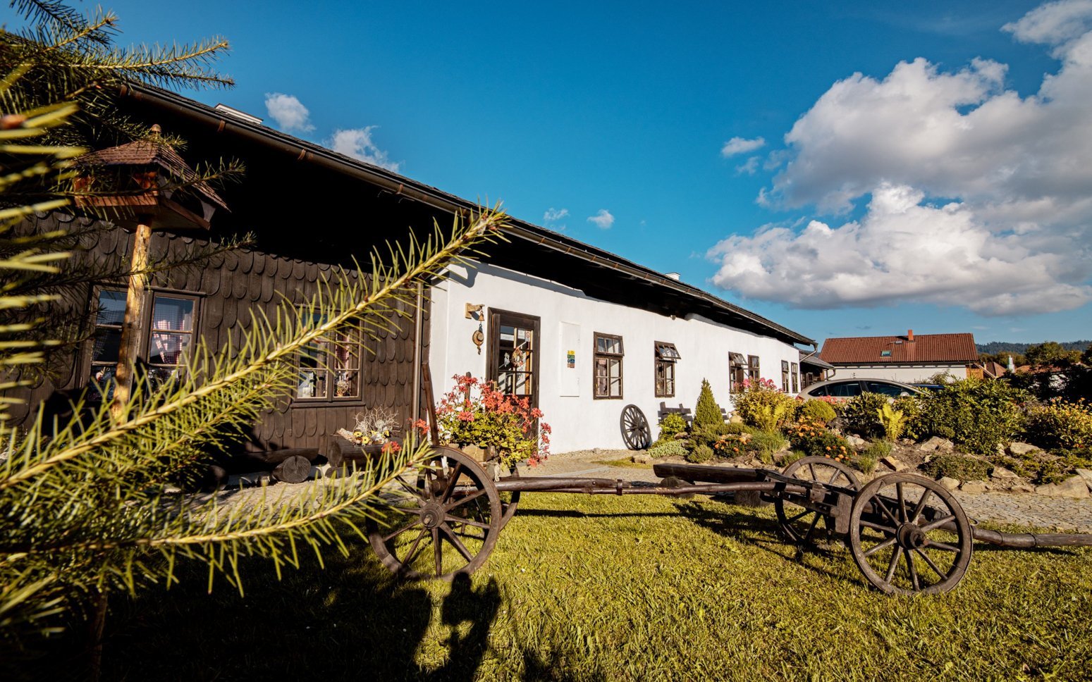 Národný park Šumava v Penzióne Sněžná v štýlových izbách s raňajkami či polpenziou a využitím chladničky